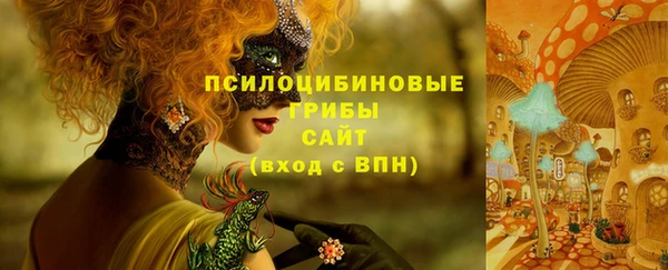 шишки Мегион