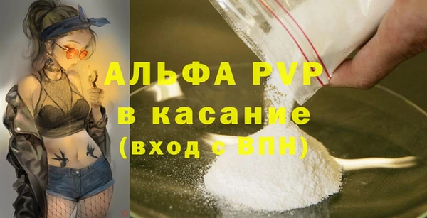 шишки Мегион
