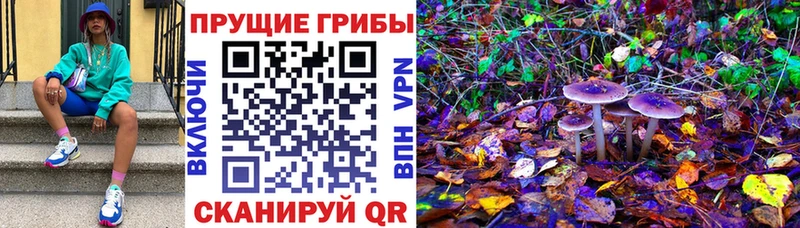 Галлюциногенные грибы мицелий  где купить   Янаул 