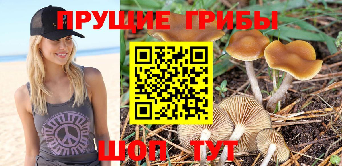 Янаул  Галлюциногенные грибы ЛСД  цена   Вход с VPN 