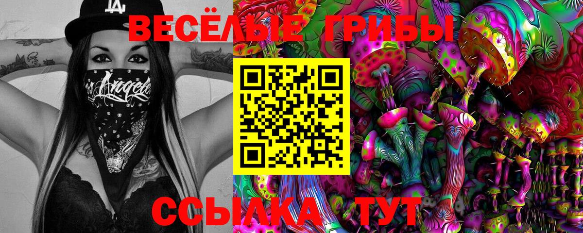 Галлюциногенные грибы Psilocybe Янаул